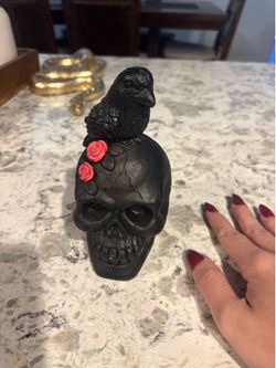 Halloween skull and raven