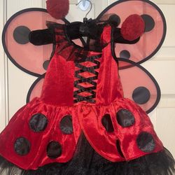 Lady Bug Costume Size 2T