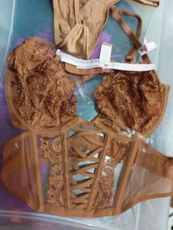 2 piece bustier &  thong Sz. S $65