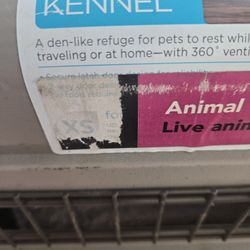 Kennel Dogs 