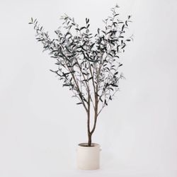 New Faux Realistic Olive Tree In Beautiful Off White Ceramic Pot Large Threshold Studio McGee 