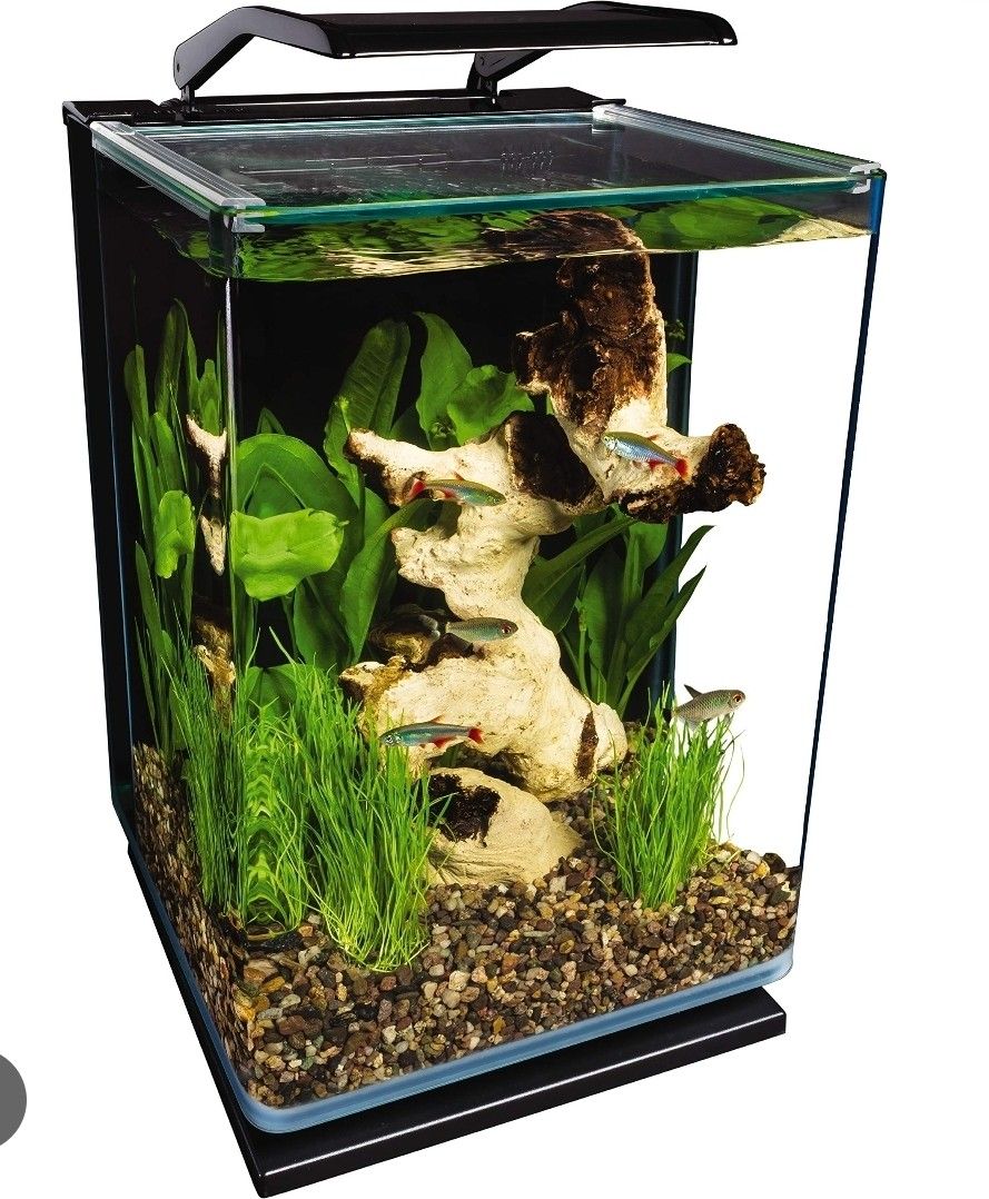 Marineland 5 gallon Aquarium