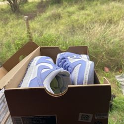 W Nike Dunks Low Next Nature 