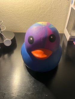 Rainbow Squeezy ducks