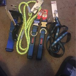 Brand New Dog Collars And Leashes 