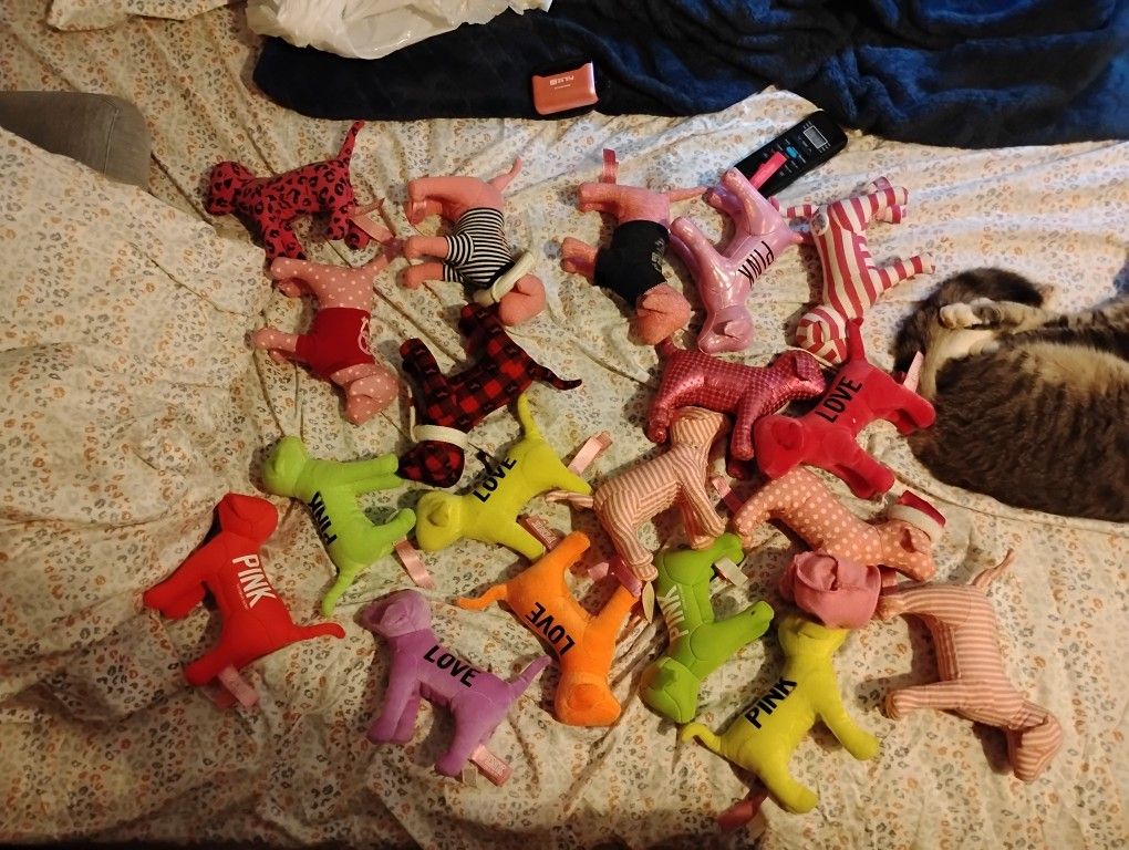 VS Dogs