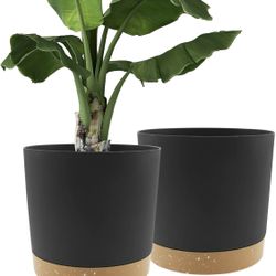 Black 12 inch (2 Pack) Planters for Indoor Plants with Drainage Holes & Saucer.