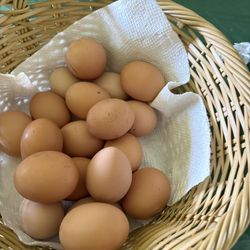 Fresh eggs 