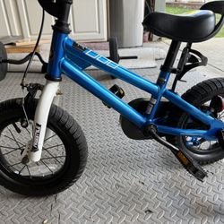 Royalbaby Toddler Bike 