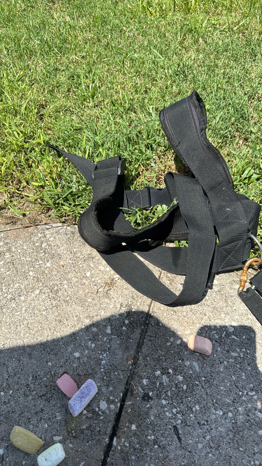 Dog Training Sled