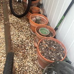 Plant Pots