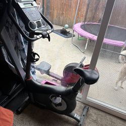 Schwinn Upright Exercise bicycle- good condition - OBO