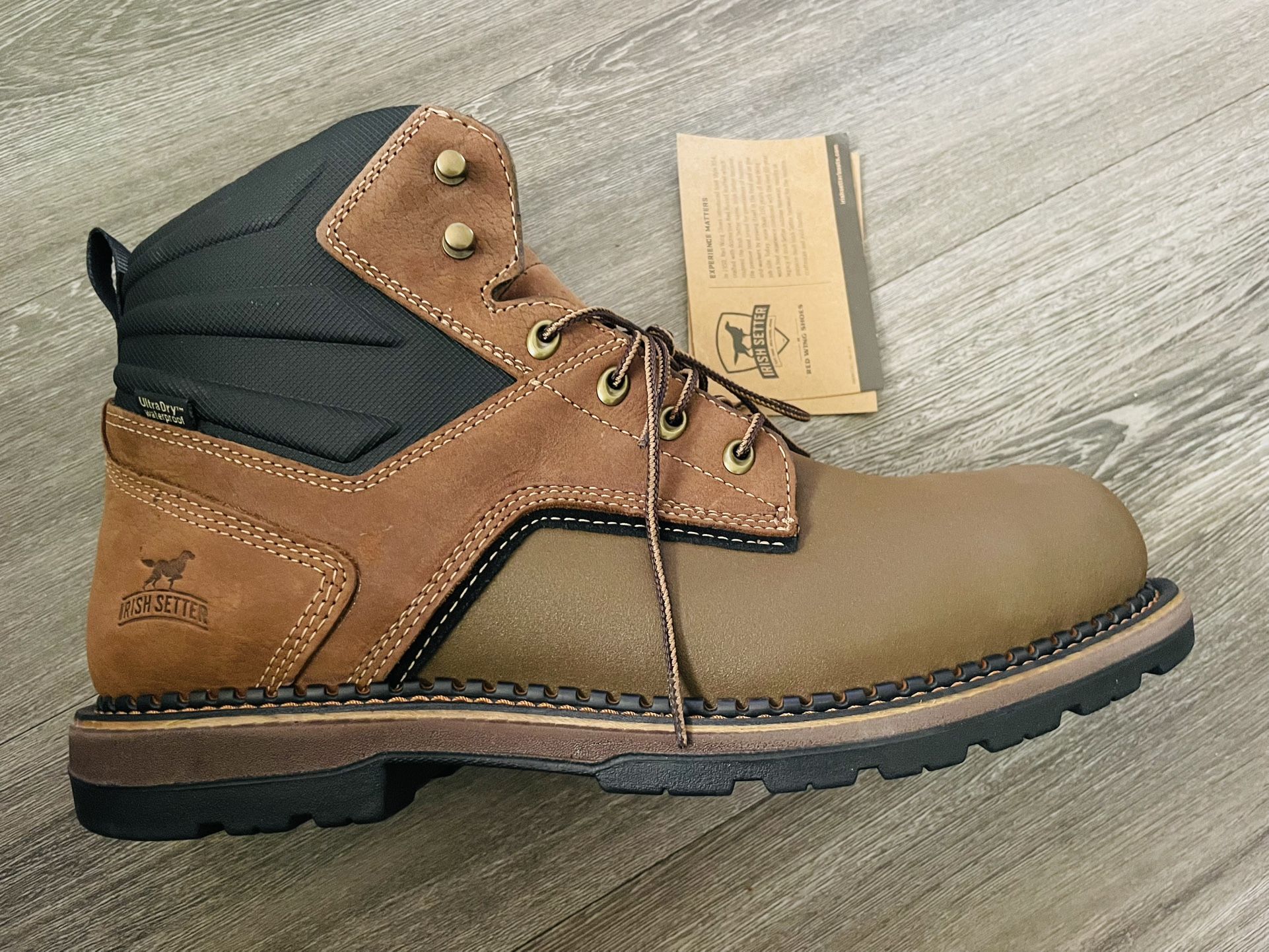 IRISH SETTER (red Wings )