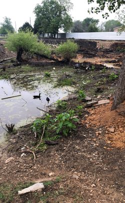 Se asepta tierra para reyeno