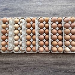 Huevos de granja 🥚🍳