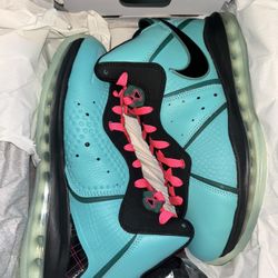 Lebron 8s South Beach