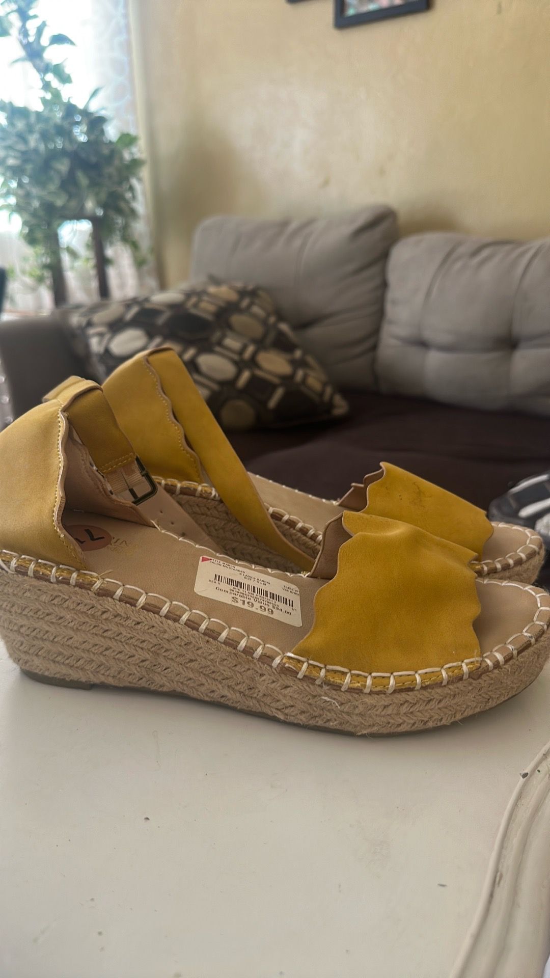 Size 7 .5