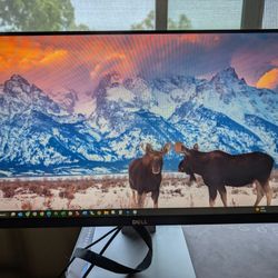 Dell S2415h 24" Monitor 