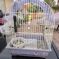 Bird Cage 