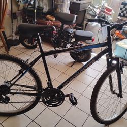 Granite Peak Roadmaster Bike