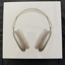 Apple IPod Max-2nd Generation! Starlight Color 