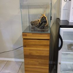 Ultum Nature Systems 40C Stand Combo
