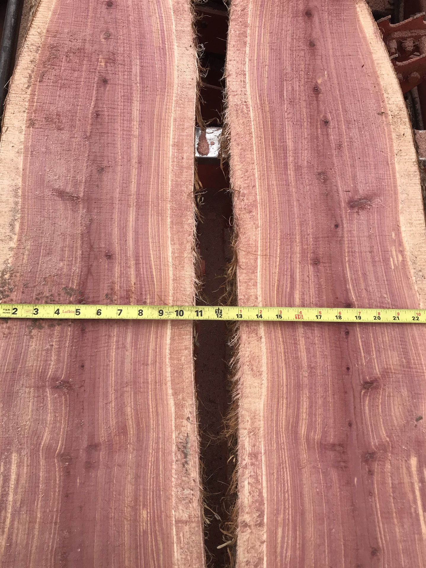 Cedar Live Edge Boards