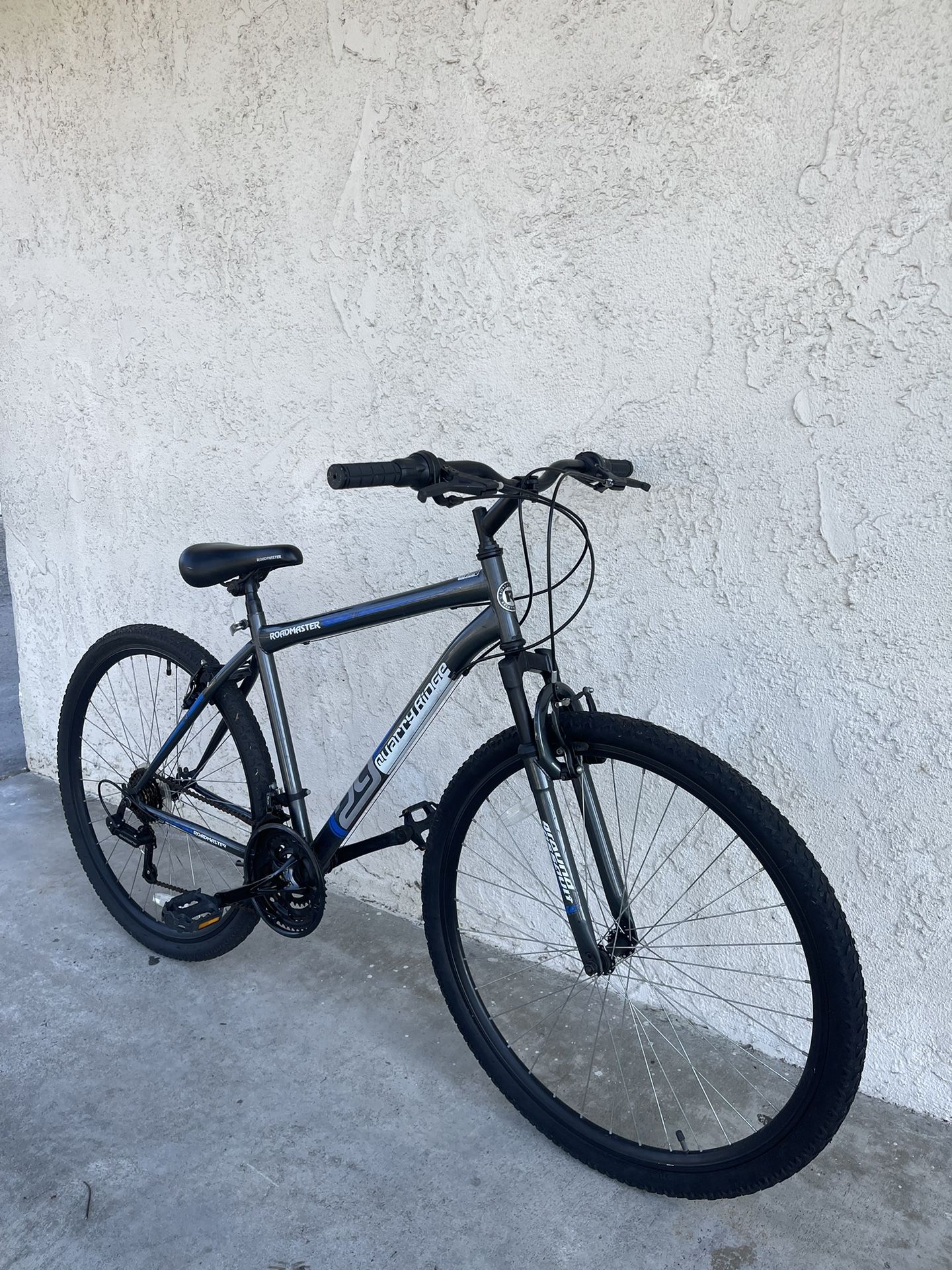 Roadmaster Bike 