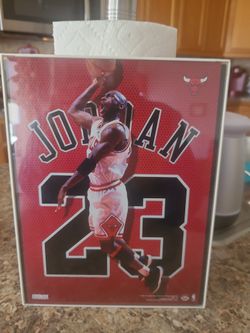 MICHAEL JORDAN 9X12 FRAMED PHOTO AIR JORDAN 