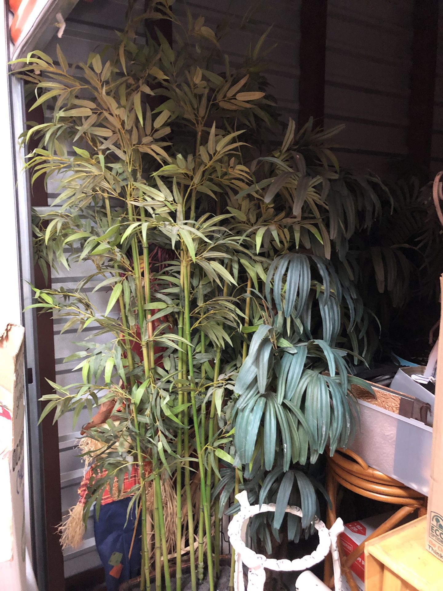 Assorted Six foot plus Silk Plants