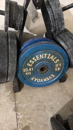 2 blue 45 lb rubber plates