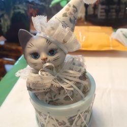 Little Gray Kitten In A Drum Plays Music