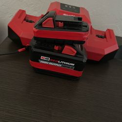 Rapid charger & Batteries