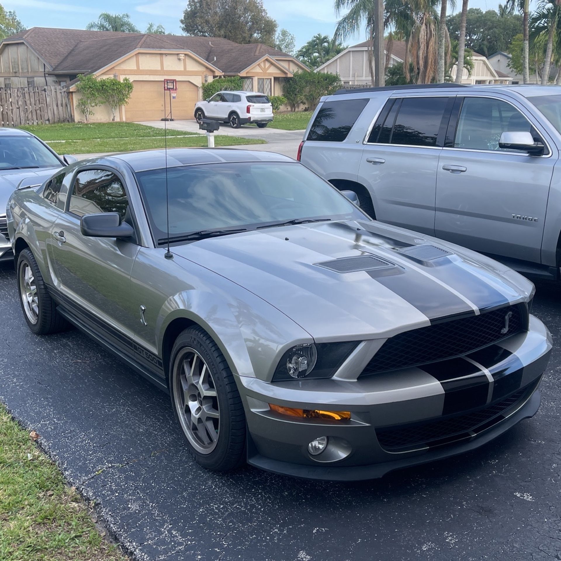 2009 Ford Shelby Gt500