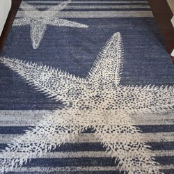 Area Rug 6'7"x9' (clean)
