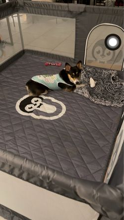 Playpen