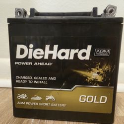 DIEHARD POWERSPORTS BATTERY TX30LA GROUP SIZE 385 CCA 30 AMP HOUR CAPACITY OFF ROAD 