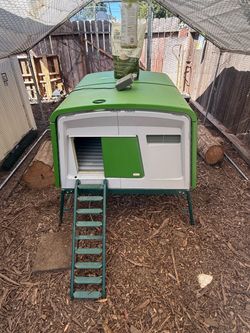 Omlet Eglu Coop — Fits 6 Hens, Auto Door, Run + Waterer Included