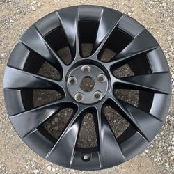 Tesla Model Y OEM 20x9.5 Induction (1) Wheel