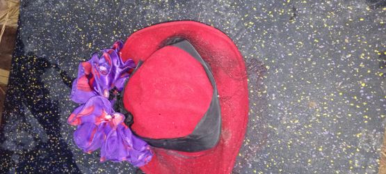 Lady's Red Hat