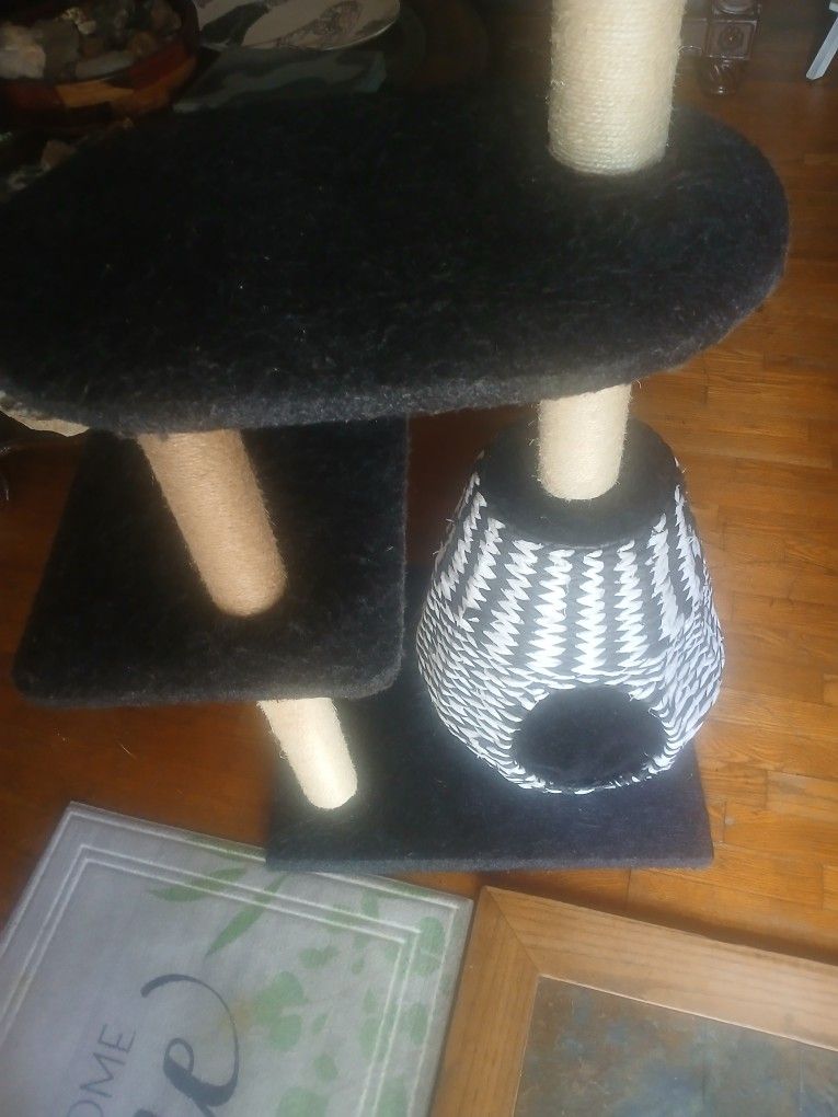 Tall Cat Tree 50" 