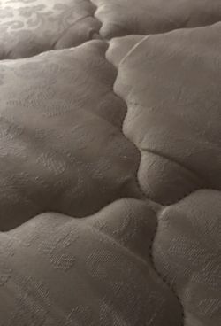 Roommate , looking for a roommate . 100 every week