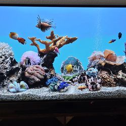 Samsung 55" UN55JU6500  4K UHD Smart LED TV