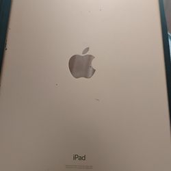 Apple Ipad