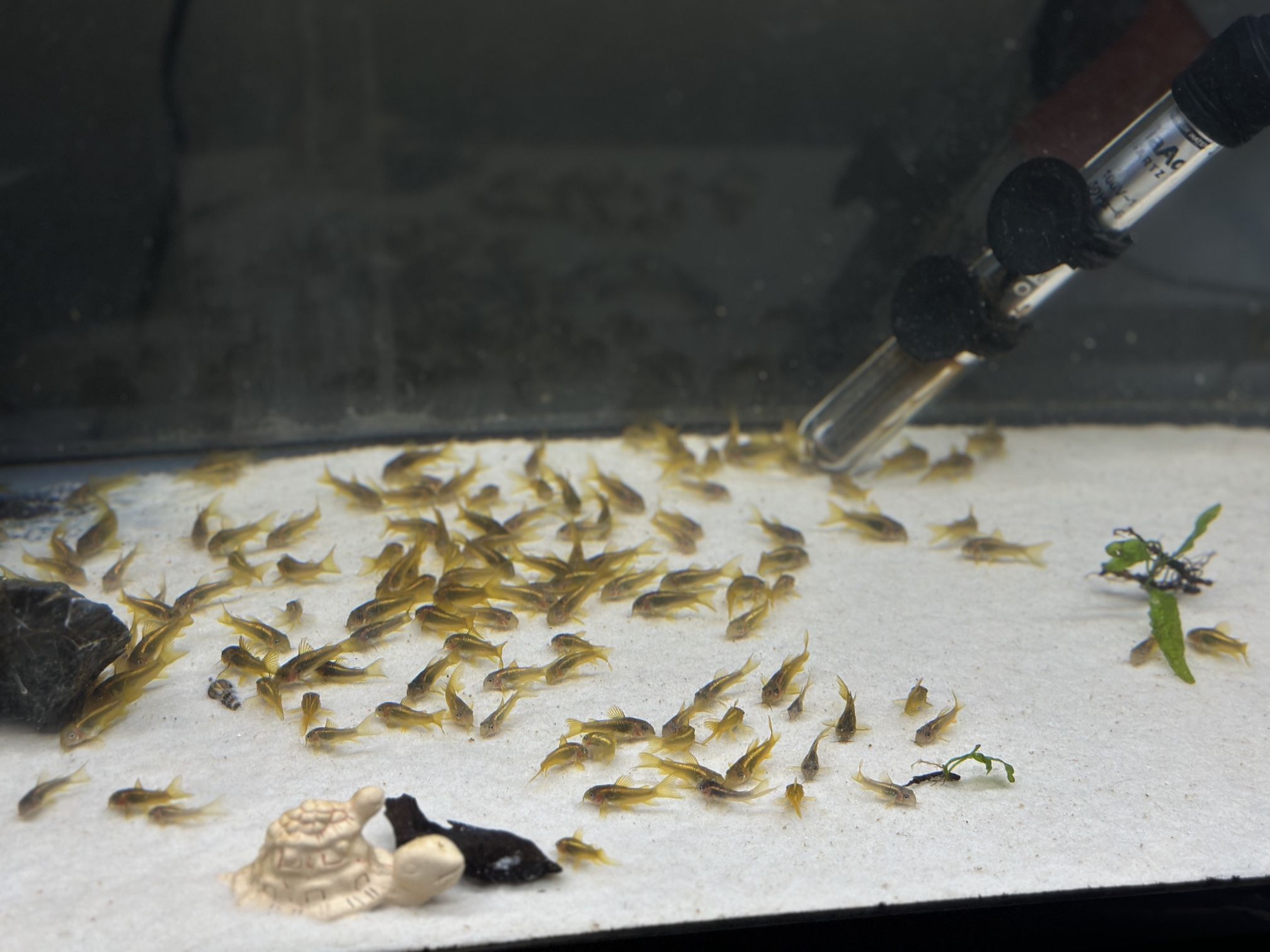 Aquarium Fish Tank Decoration 