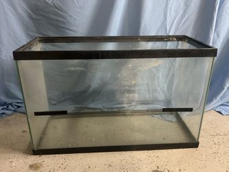 Aquarium For Mammals 