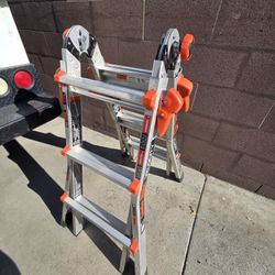 Little Giant Extendable Ladder 