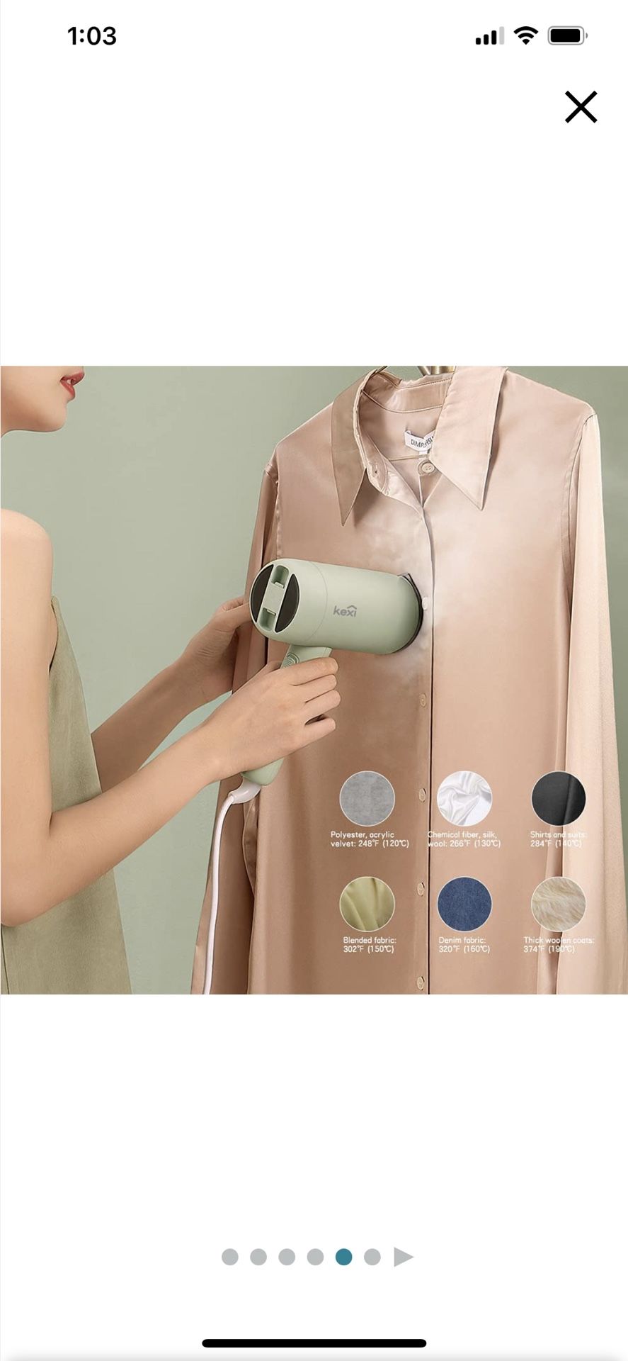 Travel Garment Steamer