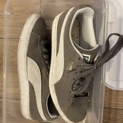 Gray Pumas 