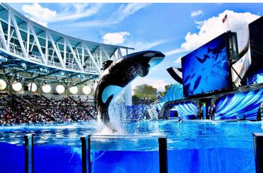 Sea World parks